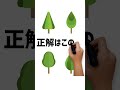 どの木が見えましたか? #動体視力検査 #動体視力テスト