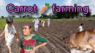 Valiben gussa ho gye bharti pe or 🥕 carrots lagaye kheto me 