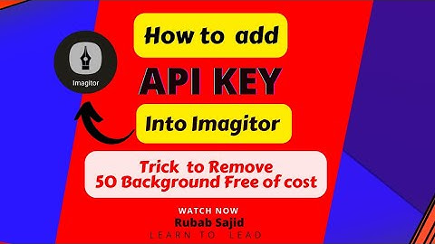 How to add #API KEY  (code) into Imagitor to remove background #free of #cost