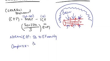 Cerebral Perfusion Pressure and Cerebral Autoregulation