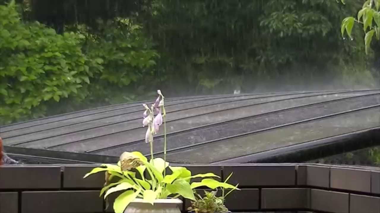 Rainy Season in Japan