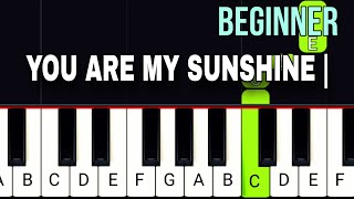 You Are My Sunshine | BEGINNER Piano Tutorial