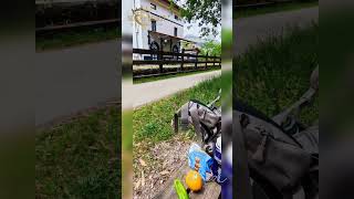 Camino del Norte - 11 - El Haya bis Castro Urdiales #DieLiebeLeben #CaminoDelNorte #UnterwegsSein