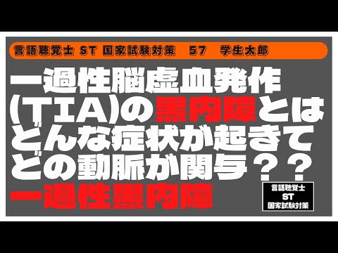 言語聴覚士(ST)国家試験対策　一過性脳虚血発作(TIA)の黒内症とはどんな症状が起きて　どの動脈が関与？一過性黒内障