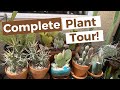 Complete Collection Plant Tour pt.1  (Spring/Summer) | Cactus, Succulents, Desert Plants