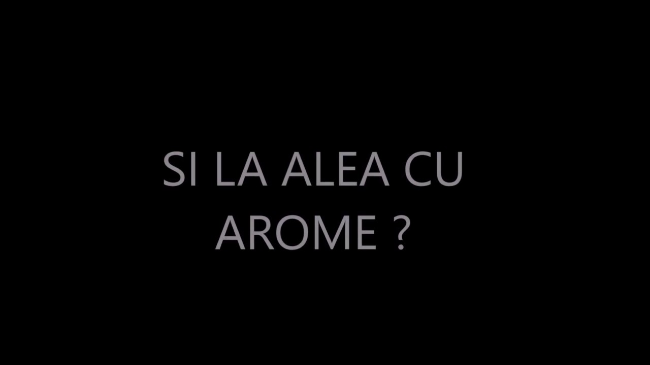 Q&A CU VLOGGERI ROMÂNI | PAMFLET!! camera iphone 8 plus apk
