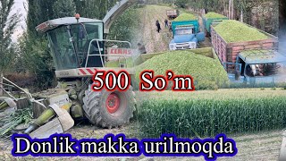 : 99897-628-92-50 .DONLIK MAKKA URILMOQDA . 1 Kg  500 Som. 