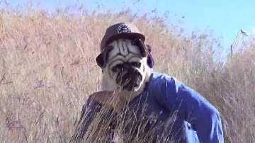 Mirkwood - Yahtzi Profits [music video]