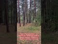 Осень в Каркаралинске — это тишина леса, прозрачный воздух и красота природы