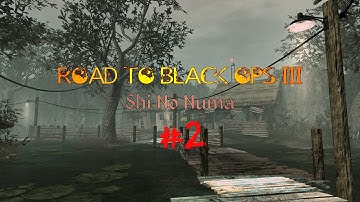 EASTER EGG!!! | Road To Black Ops 3 | Shi No Numa | Part 2