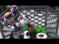 仮面ライダーフォーゼのリトルハナガシラ飼育