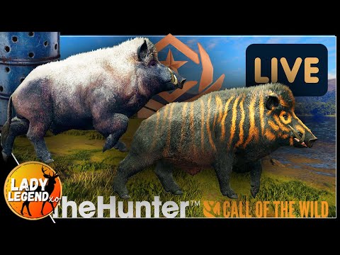 4,605 Kills Into The Craziest Great One Boar Grind Ever!!! - Live!!!