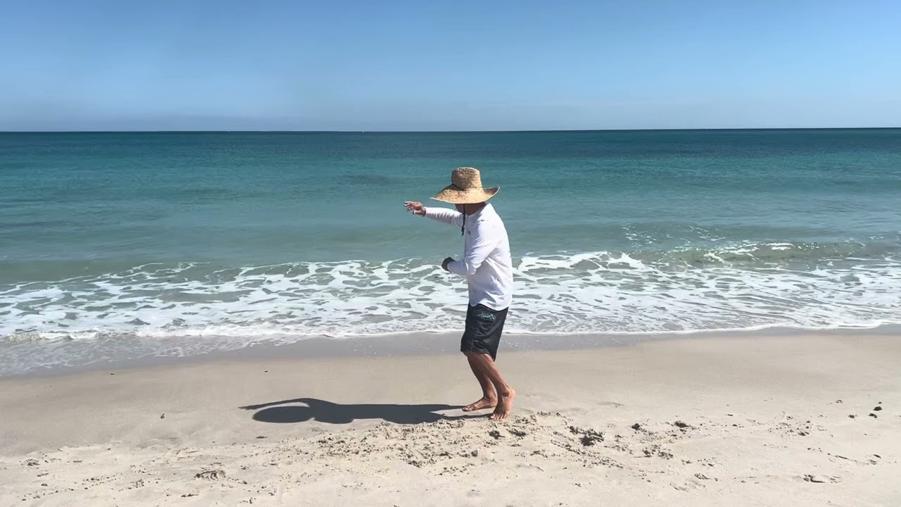 Yang Style Tai Chi demonstration by Andrew Chung (Dania Beach, Florida)