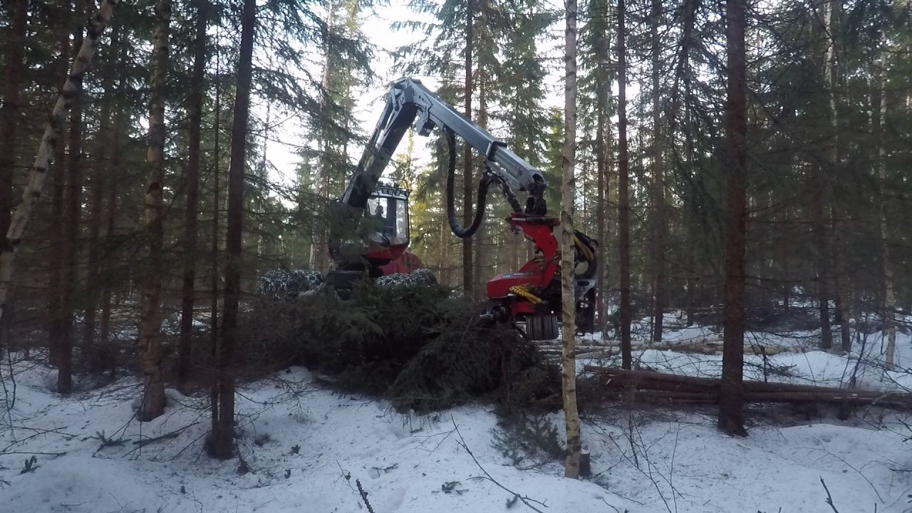 Valmet 911/Komatsu 340, thinning, Finland, winter 2017.
