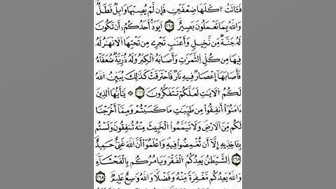 الثمن 4 حزب 5 الخامس سورة البقرة رواية ورش ياسين الجزائري tmn 4 hzb 5 surat bakara pr apprendre