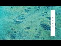 転校前夜 - ﾀﾄ (cover)