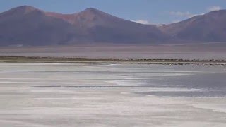 2014-01-19 Laguna altiplánica Salar del Huasco, Tarapacá