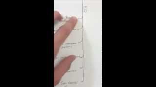 Cell Membrane Concept Map
