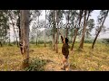 Cinematic video shoot in mobile and insta360 #insta360x2 #iphonecinematography