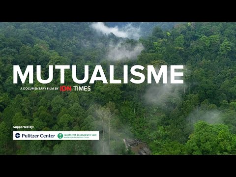 MUTUALISME - Film Dokumenter Imbal Balik Hutan Hujan Tropis dan Manusia