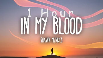 [ 1 HOUR ] Shawn Mendes - In My Blood (Lyrics)