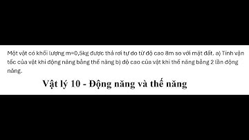 Lý 10: Một vật có khối lượng m=0,5kg được thả rơi tự do từ độ cao 8m so với mặt đất.