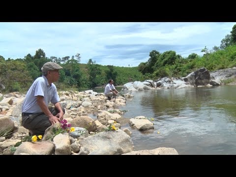 Khúc tưởng niệm bên dòng sông ( Phim tài liệu )