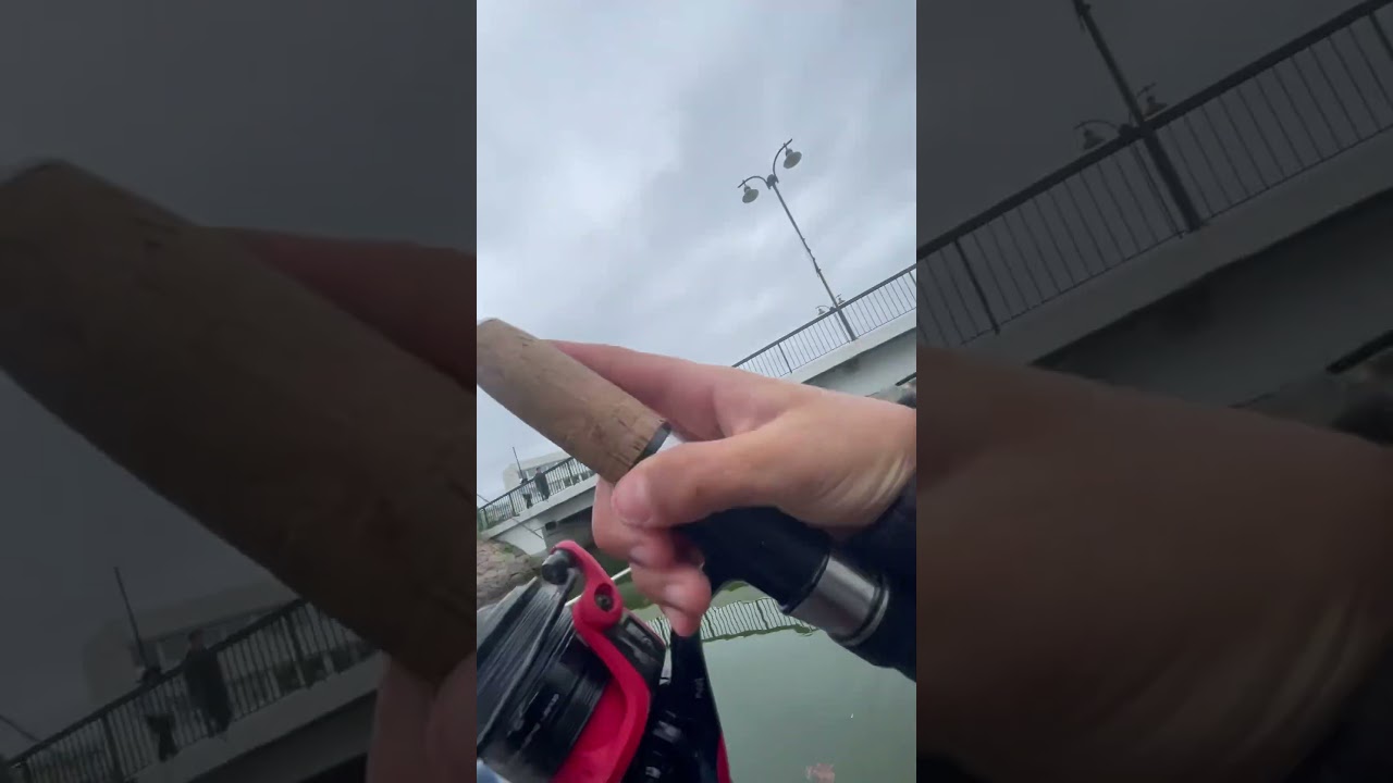 Id fiske/ sazan avı. !!!🔥🔥🔥