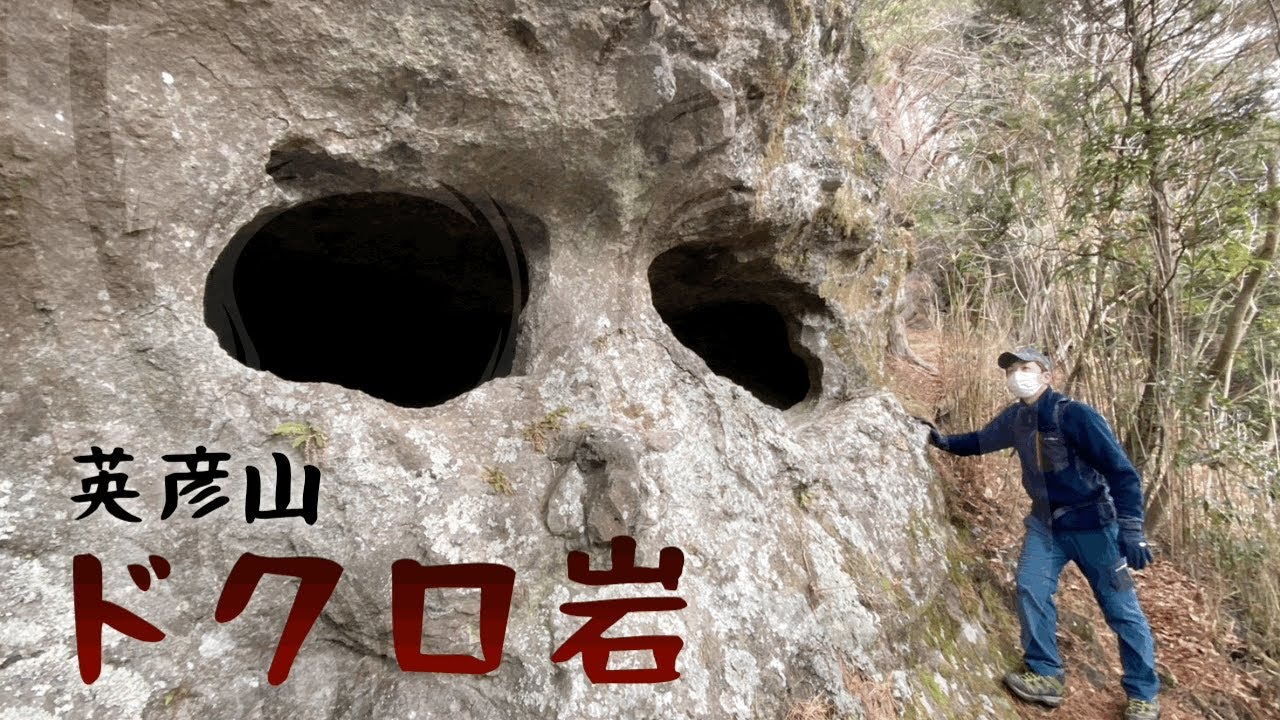 油絵島田由紀子花1965年