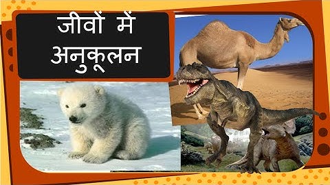 Science - Animal Adaptation -- Extinct and Endangered animals - Hindi