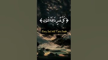 تلاوة مبكية خاشعة ..{ كُلُّ نَفْسٍ ذَائِقَةُ الْمَوْتِ } .. من سورة ال عمران