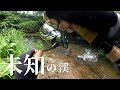 【渓流釣り】未知の渓に居たのは...