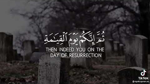 تأديب رباني تلاوة مريحة بصوت الشيخ ماهر المعيقلي (( إنك ميت وإنهم ميتون..))##أرح قلبك