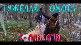 Охота с Лайками. Ночевка у импровизированной НАДЬИ. Добыли Глухаря.