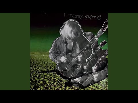 من زندگی ندارم