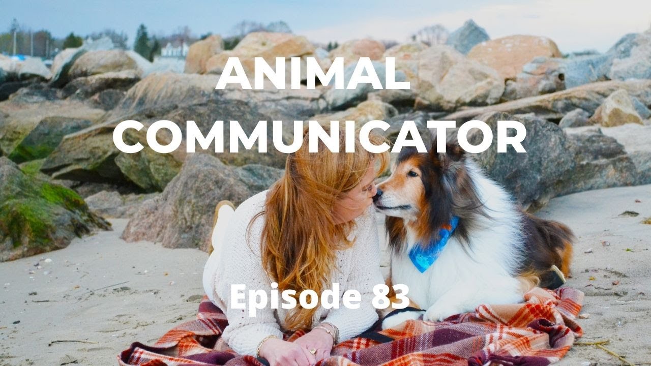 Animal Communicator YouTube