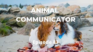 Animal Communicator
Today on The Dead Life, Im exploring Pet Psychics. Have you ever looked into your pets eyes and felt like you knew what they were thinking or picked up a vibe on what they needed? It happens, so on todays show, youll be hearing from Mary Albanese. Shes the force behind Zen Zu animal communication and energy work. Marys an animal communicator, who works with domestic, farm, and exotic animals.
For more information on Mary Albanese, please visit her website:
http://www.zenzuac.com/
For more information on Allison DuBois:
https://www.allisondubois.com
Please consider visiting our sponsor:
https://zocdoc.com/deadlife Animal Communicator