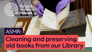 Cleaning and preserving old books from the Library | ASMR