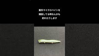 モアザン スライ95Fのお話