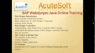 SAP Webdynpro Java Online Training