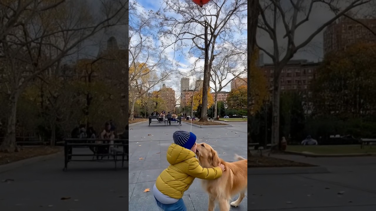Hero Dog Saves Kid’s Balloon — Caught on Phone