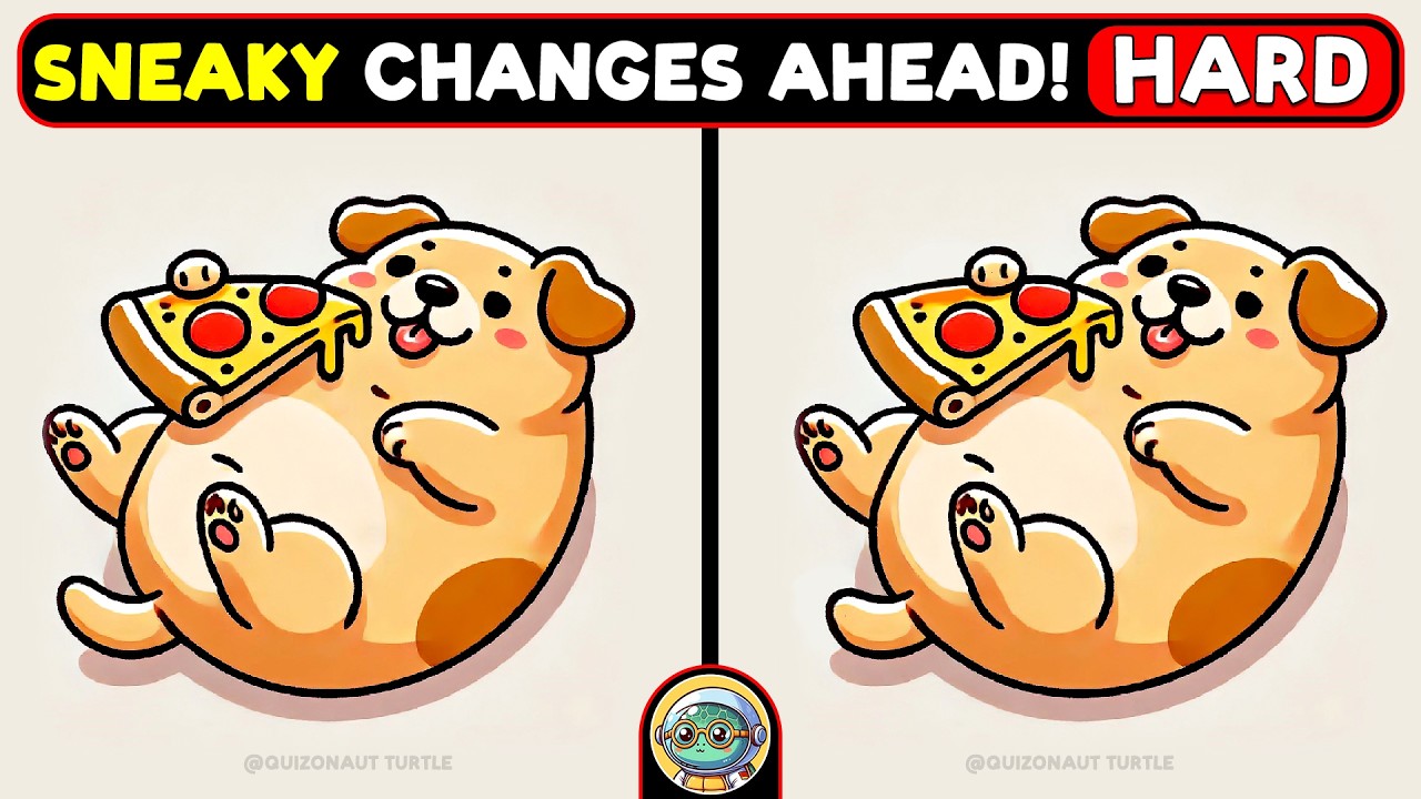 🐢🧩 Find The Difference | The Ultimate Puzzle Hunt 🧩🐢 | Quizonaut Turtle