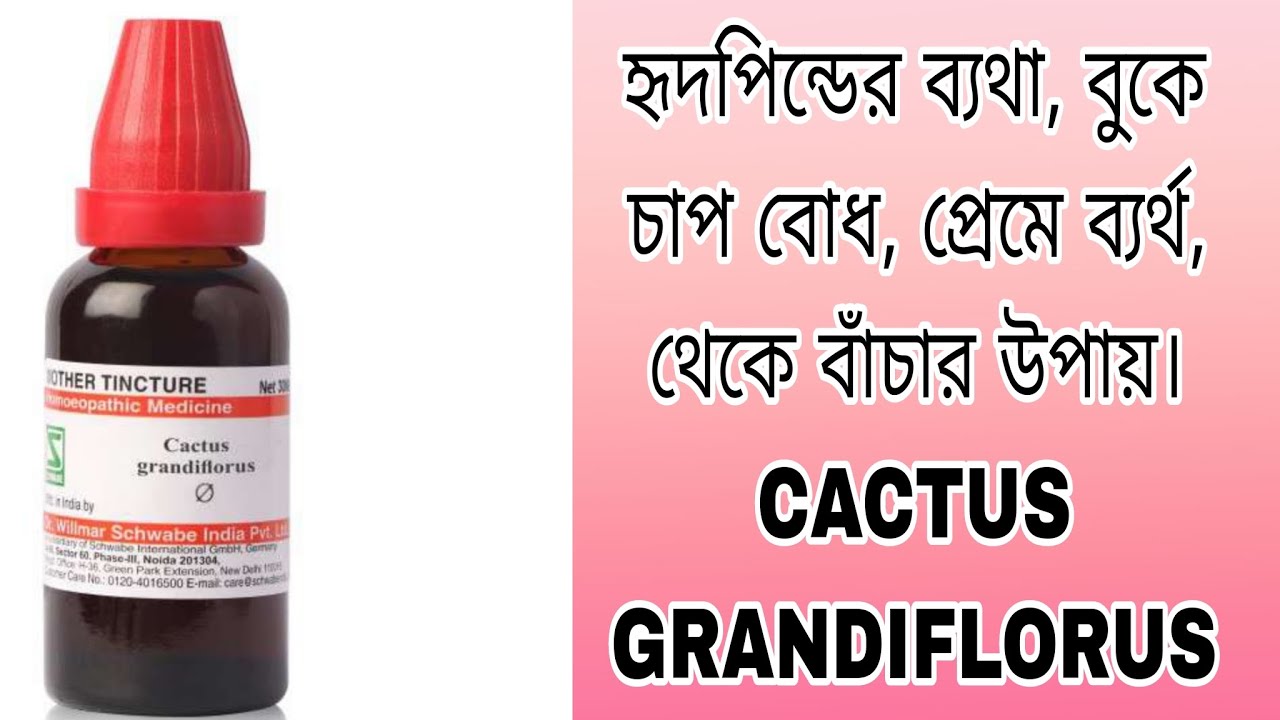 HOMEOPATHIC MEDICINE CACTUS GRANDIFLORUS কিছু কথা atozkanakbiswas89 