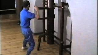 wooden dummy form whit Yip chun master