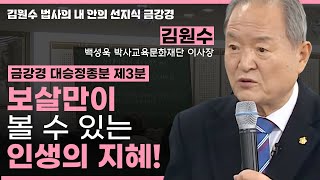 보살님만이 볼 수 있는 지혜가 있다?ㅣ금강경 대승정종분 (제3분) [김원수 법사의 내안의 선지식 금강경 265회]