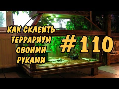 #110 КАК СКЛЕИТЬ ТЕРРАРИУМ СВОИМИ РУКАМИ. TERRARIUM DIY