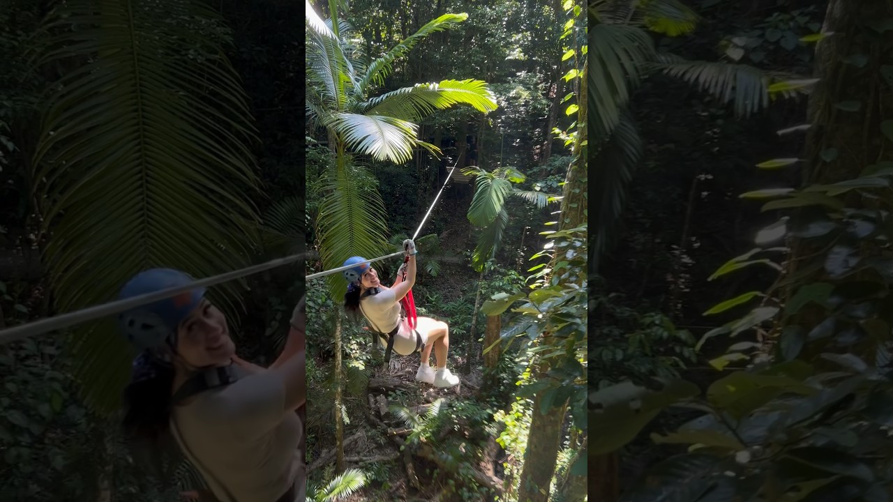Zip lining in LARGEST rainforest in Australia! 🇦🇺