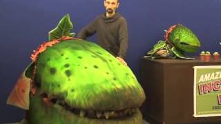 Accord Stage Works Little Shop of Horrors Concept From V1-V2.mov