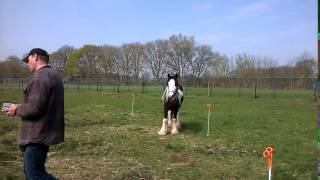 WP 20150416 002