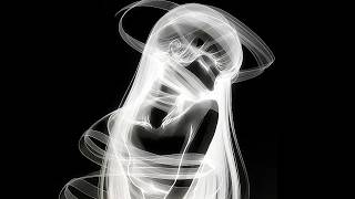 Let your problems dissolve on their own… (𝟐𝟐𝟐)